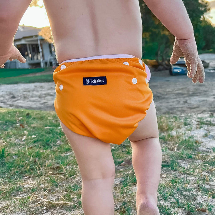 Reuseable Swim Nappy 2 Pack | Fish Frenzy