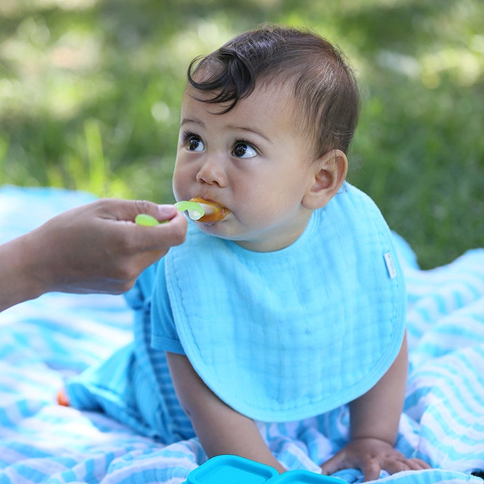 Green Sprouts | Bibs Muslin made from Organic Cotton (5pk)Set-0/12mo - Various