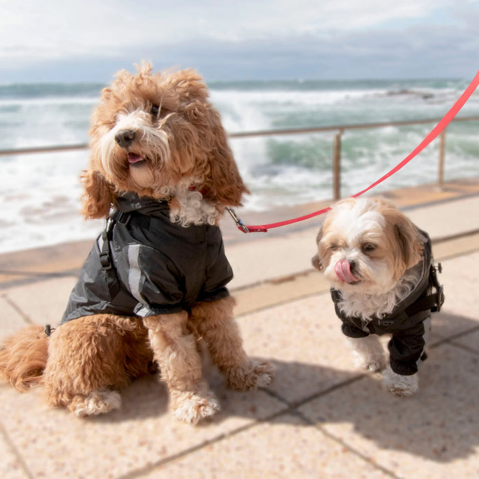 Louie Living | Black Dog Raincoat