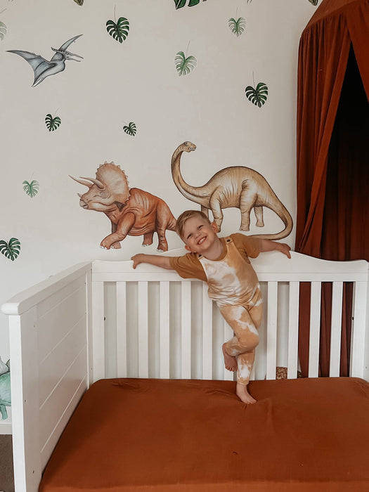 Wall Decals - Dinosaurs