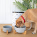 Ceramic Pet Bowl with Stand - Medium - Lozza’s Gifts & Homewares 